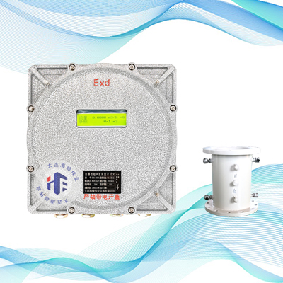 双声道防爆式超声波流量计管段式