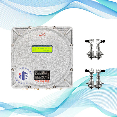 双声道防爆式超声波流量计插入式